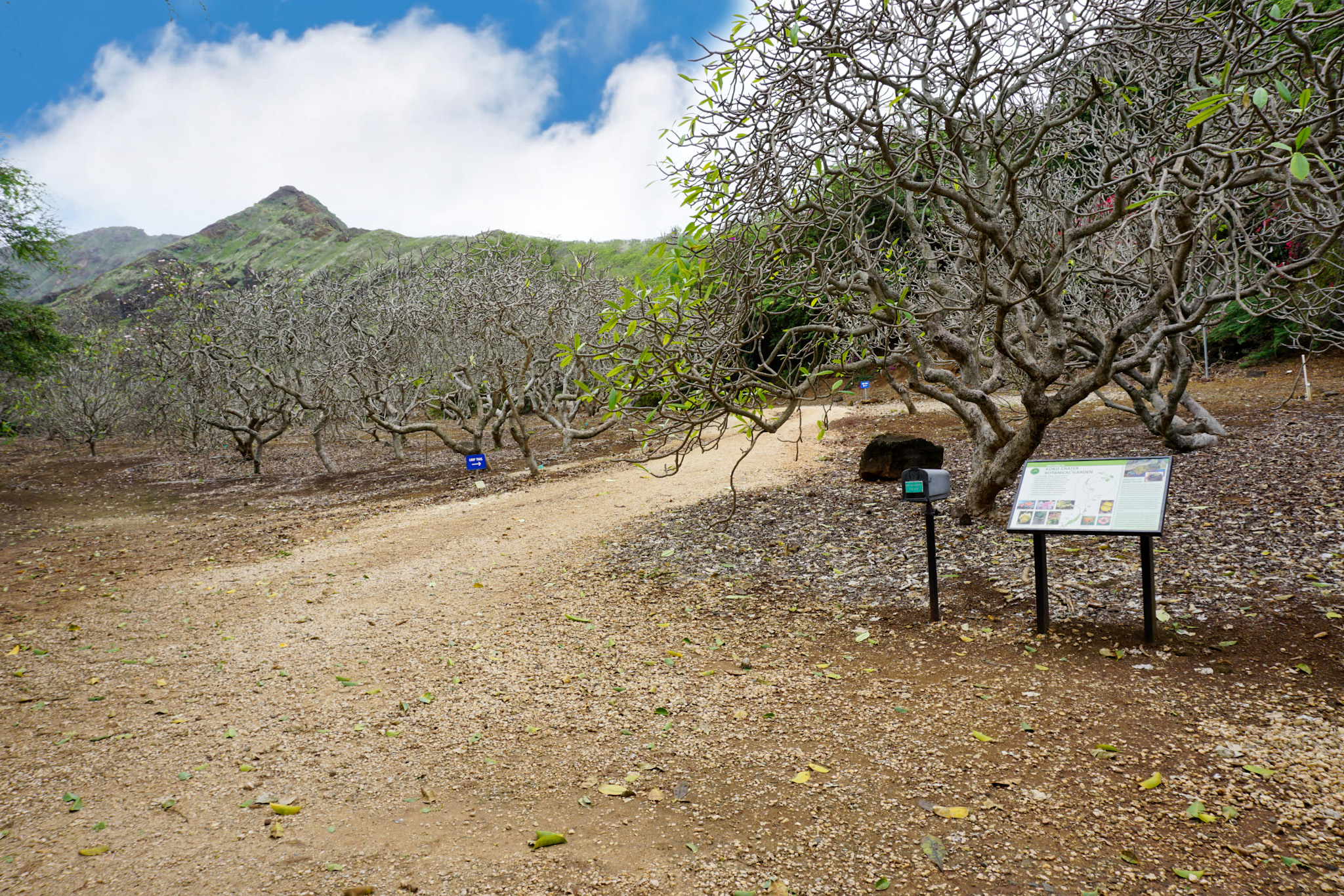 Koko Botanical Gardens (Oahu) Trail Entrance