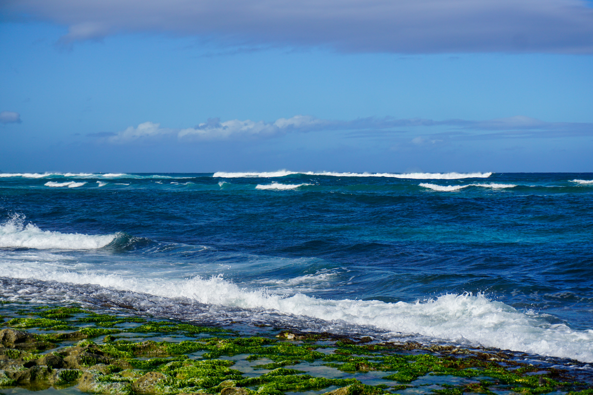 Laniakea Beach, North Shore Oahu Hawaii