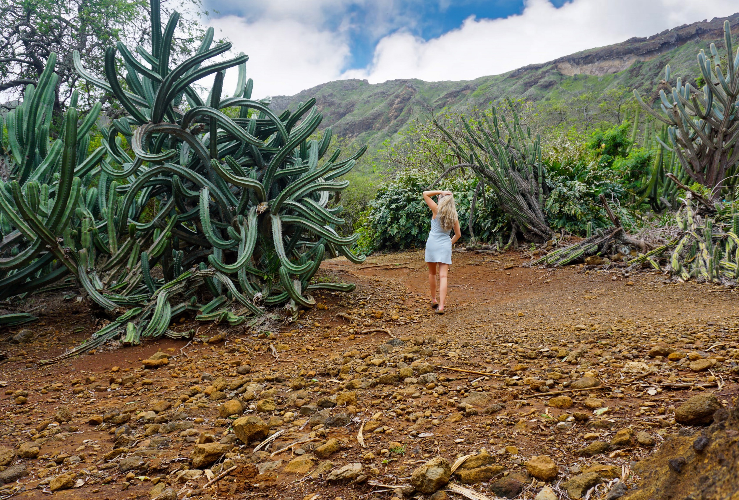 Lauren walking on the dirt path next to Cacti at Koko Botanical Gardens (Oahu, Hawaii)
