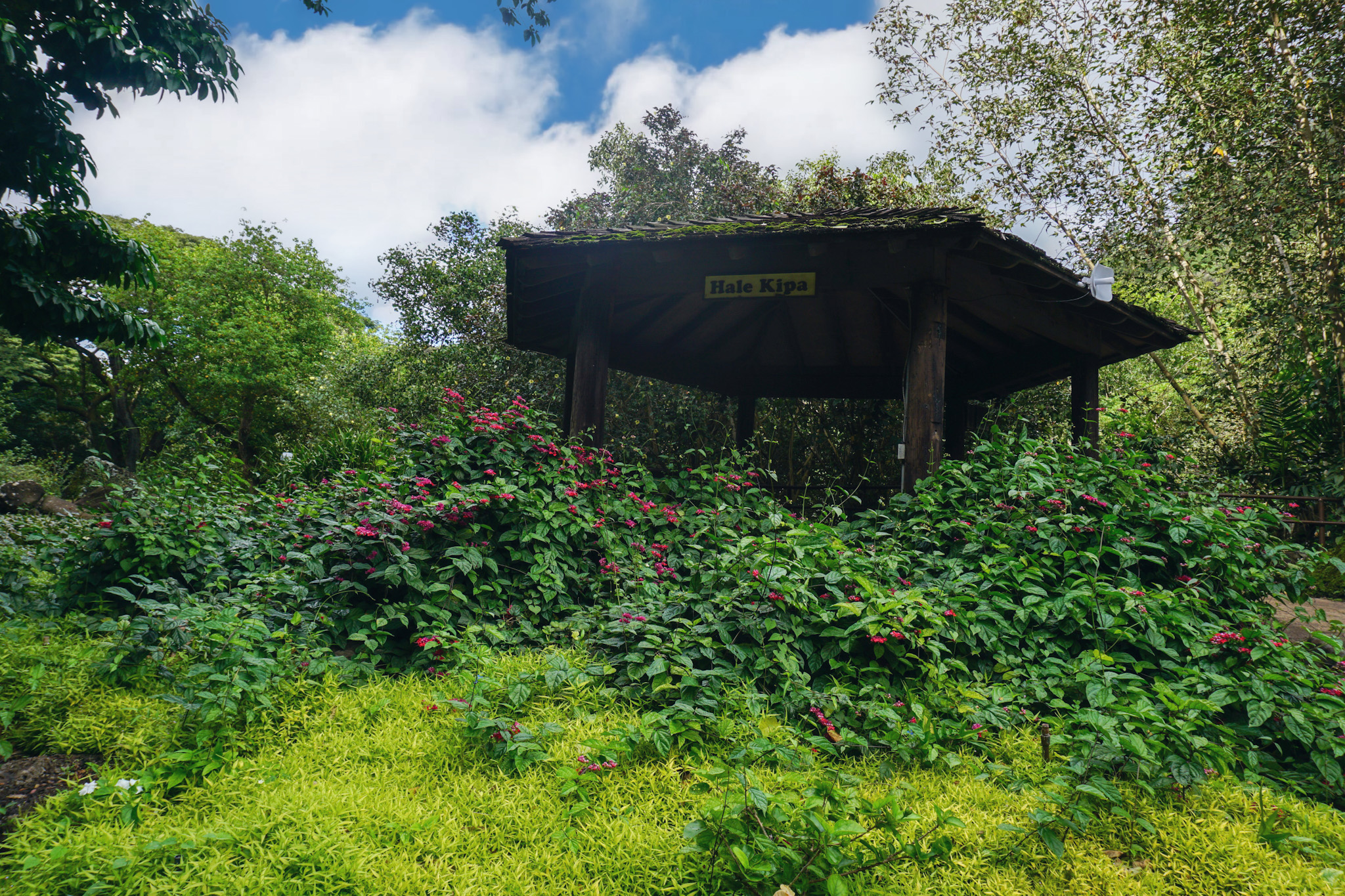 Hawaiian Cultural Sites featuring a replication of ancient Hawaiian house at Waimea Valley