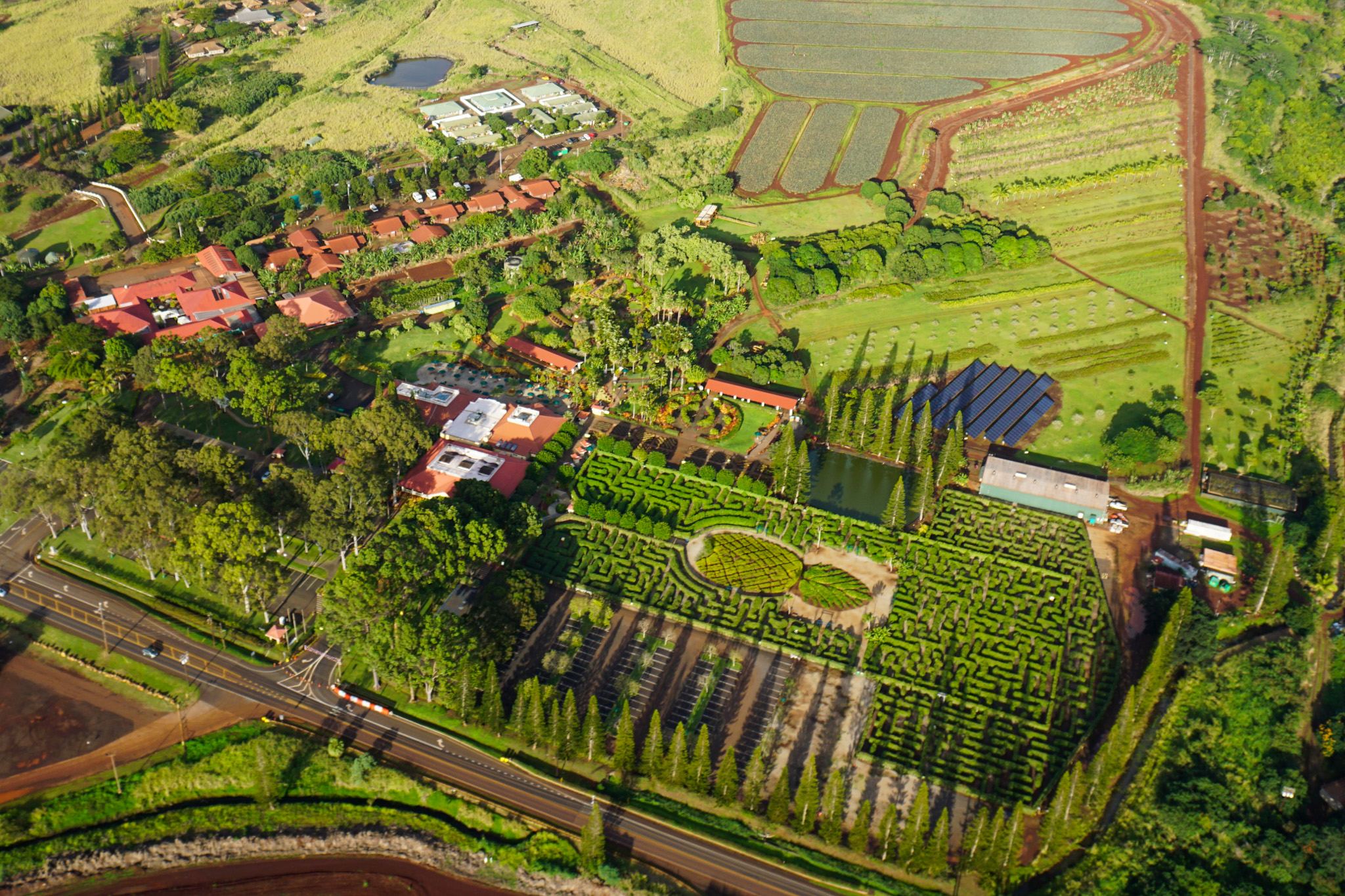 World's Largest Maze at Dole Pineapple Plantation on Oahu's North Shore