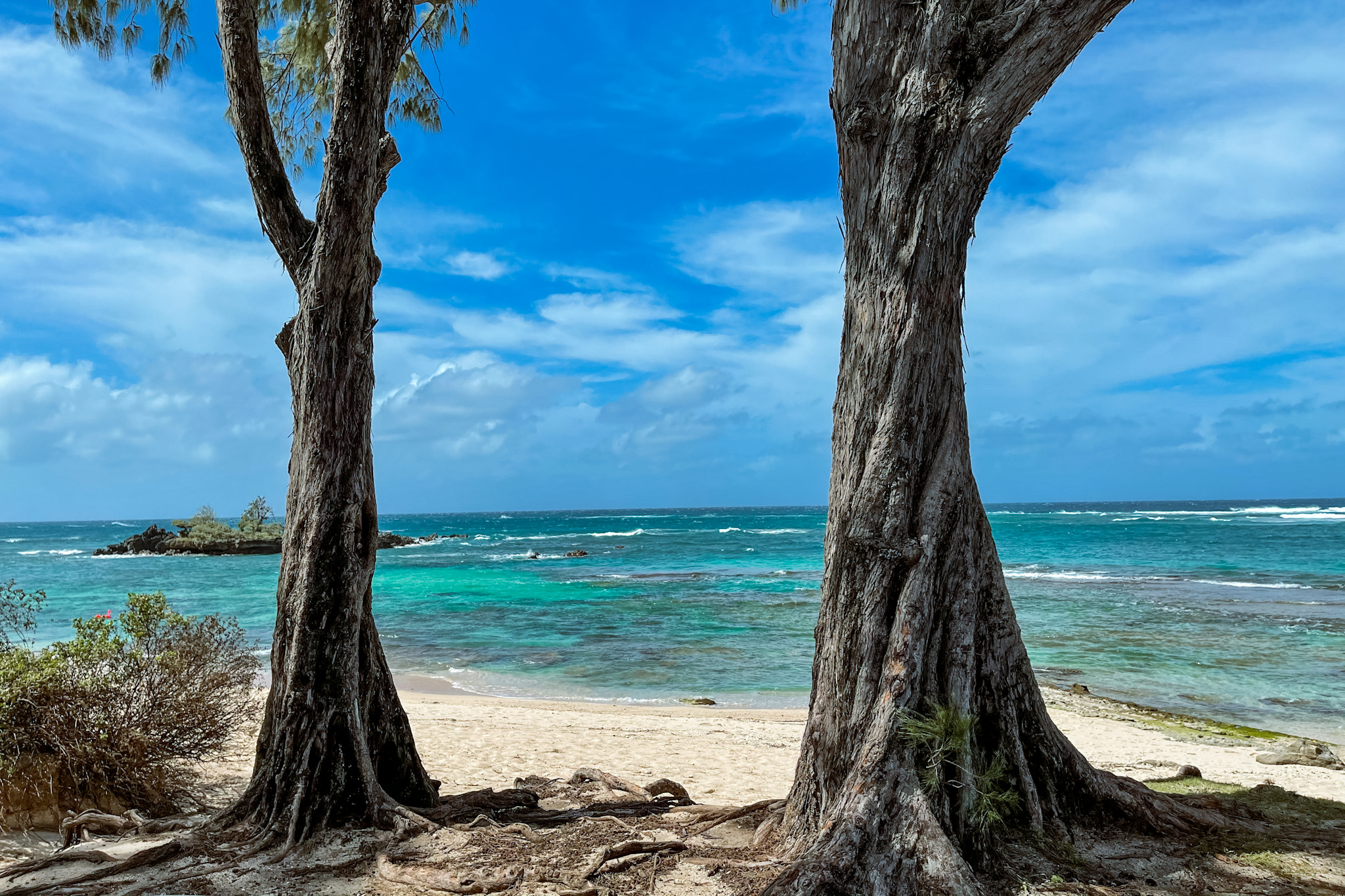 View of Hawaiian North Shore beach with turquoise waters between two trees