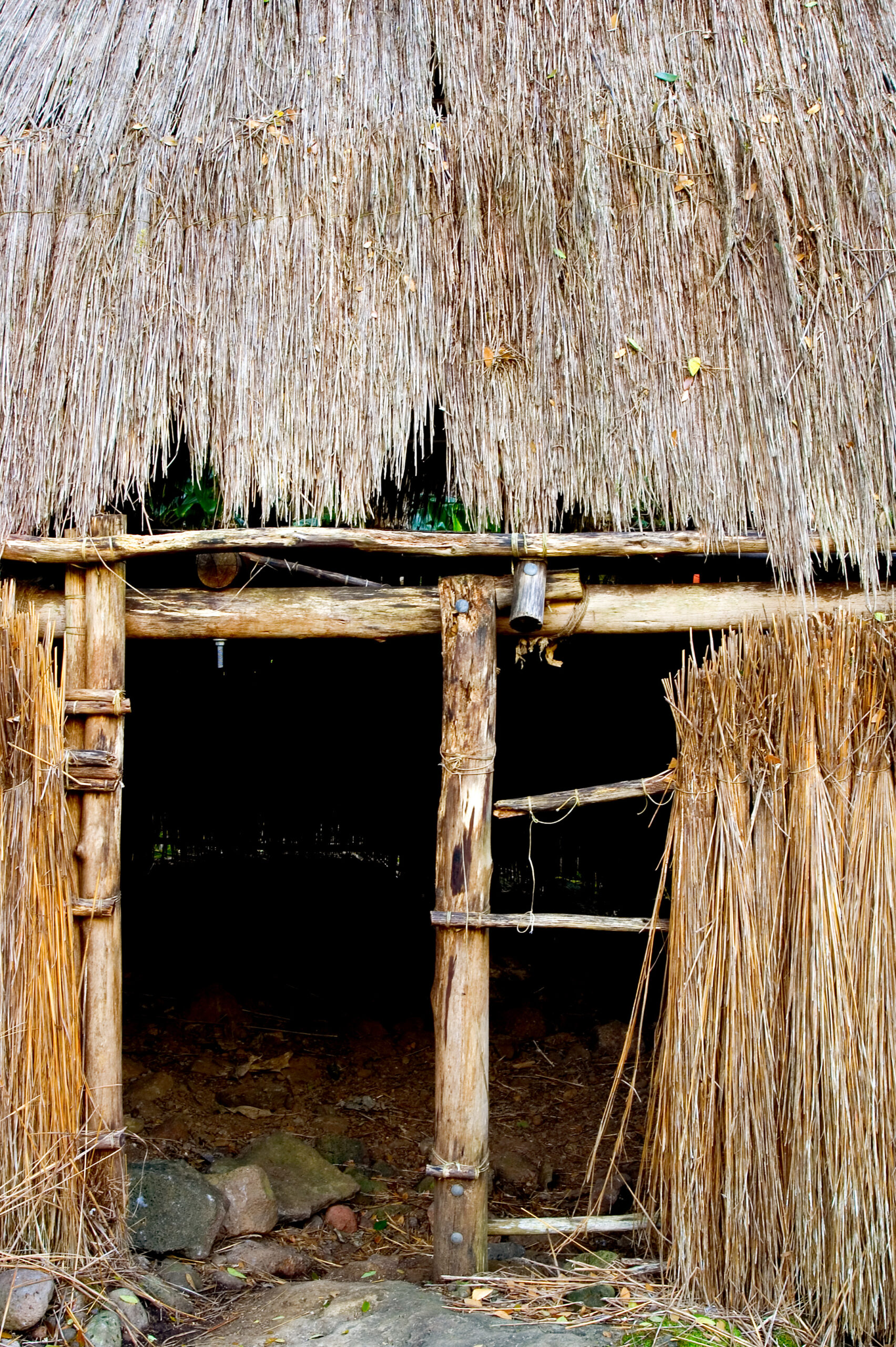 Close up of ancient Hawaiian hut at Waimea Valley