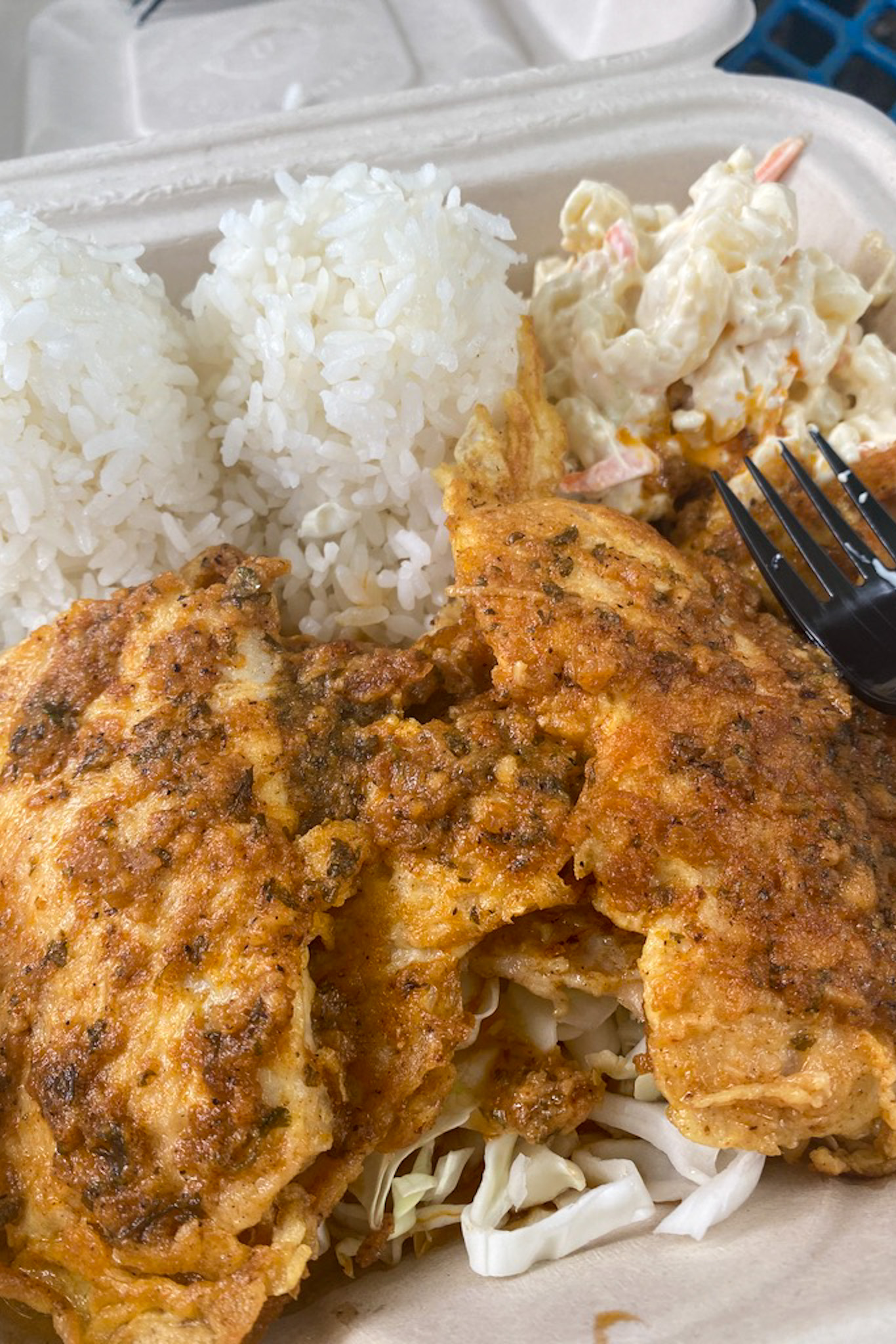 Shoyu Chicken Plate Lunch from Ted's Bakery on Oahu's North Shore - best lunch spots for Hawaii foodies