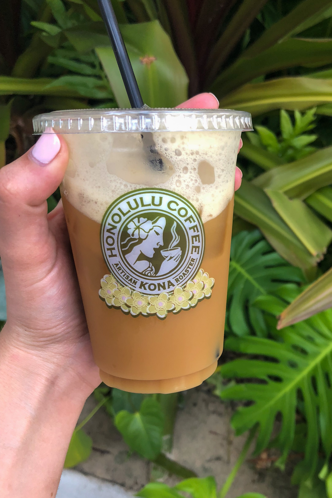 Cold brew from Honolulu Coffee in Waikiki, Honolulu, Oahu, Hawaii