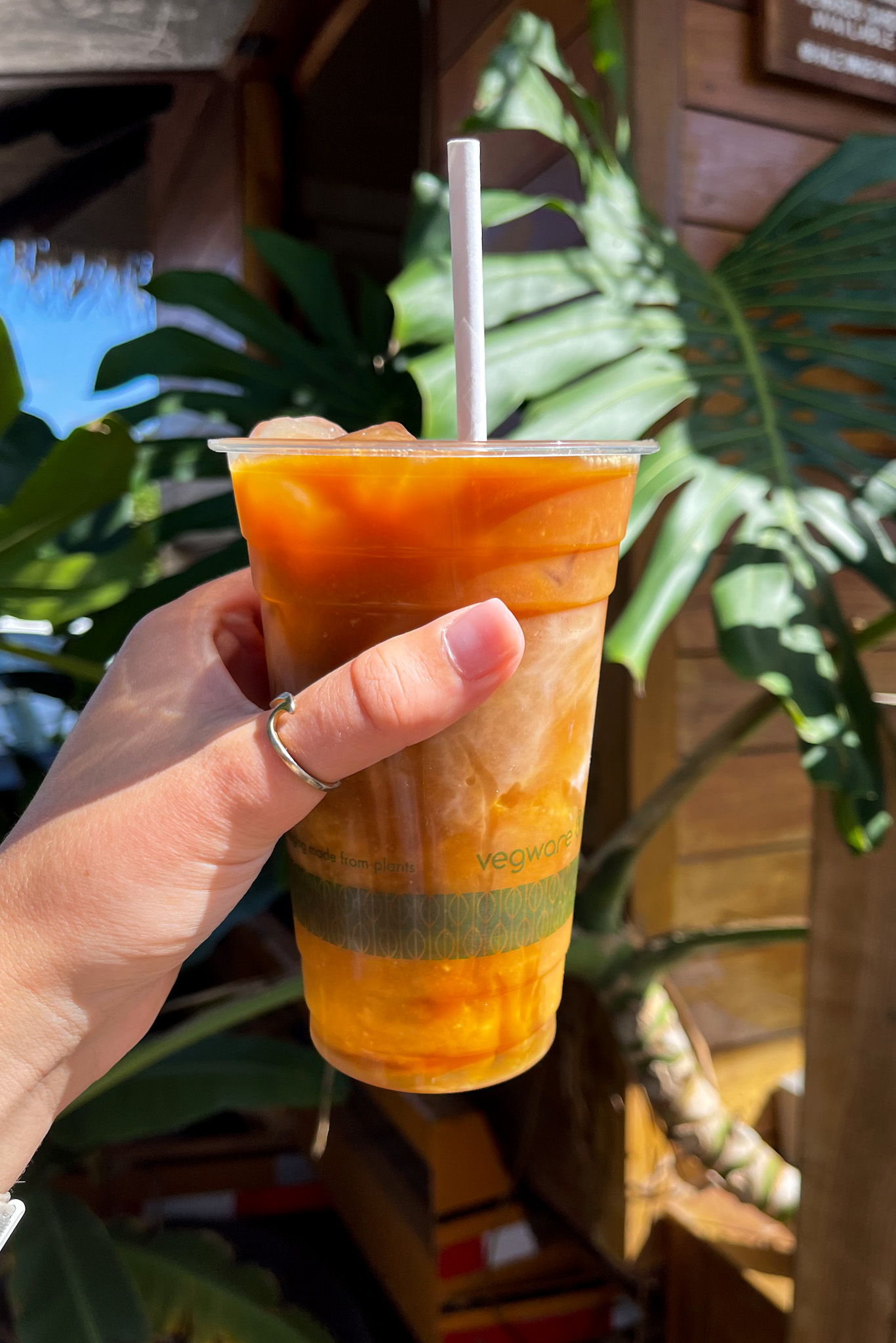 Cold brew from Haleiwa Bowls, North Shore, Oahu, Hawaii