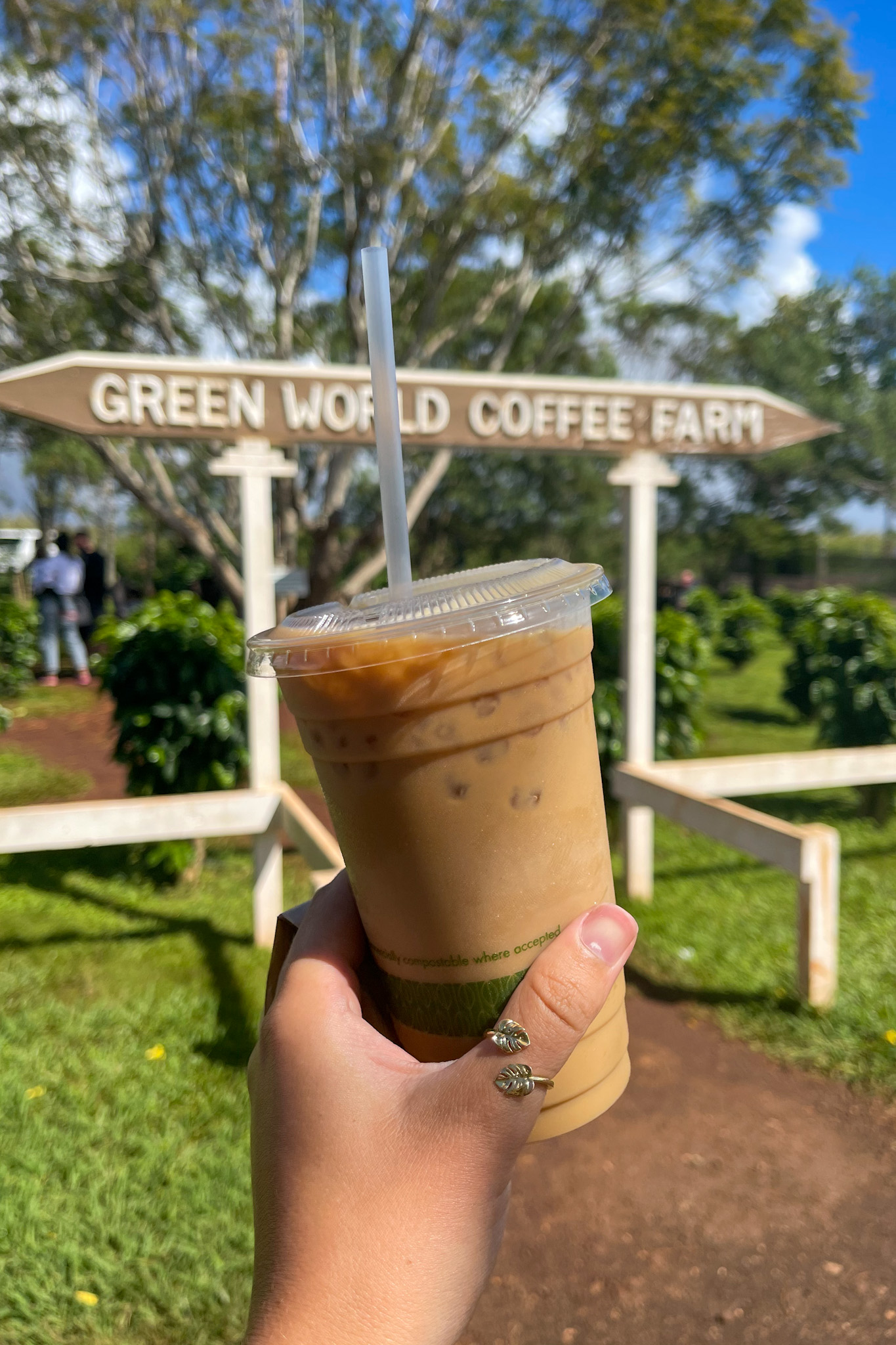Cold brew from Green World Farms North Shore, Oahu, Hawaii