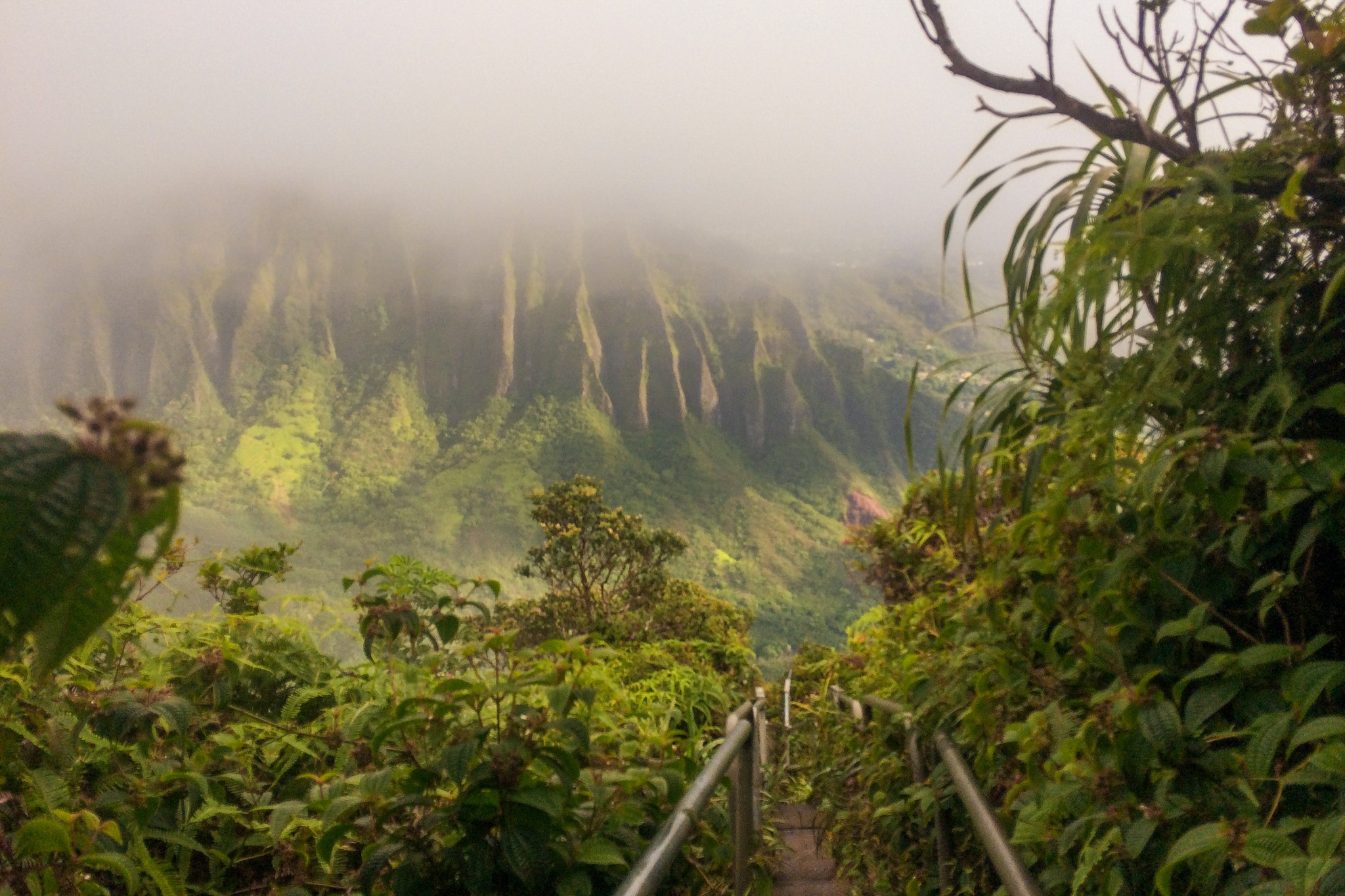 View of mountain ridges from the Haiku Stairway to Heaven hike on Oahu