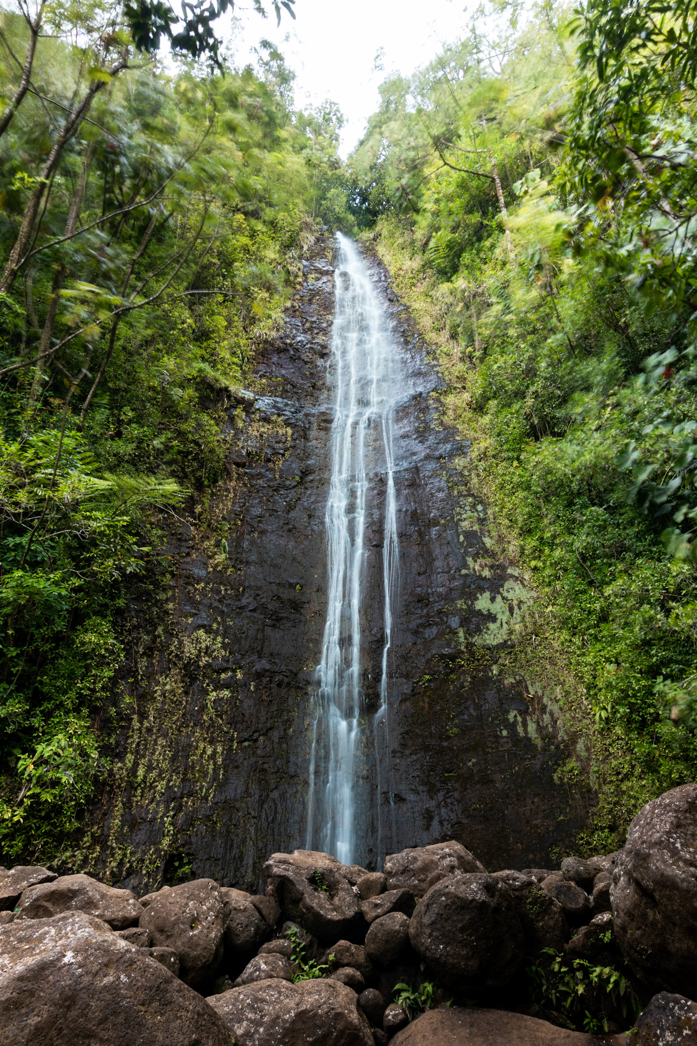 Manoa Falls Waterfall, Lyon Arboretum, Oahu, Hawaii